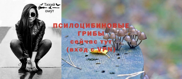 хмурый Балабаново