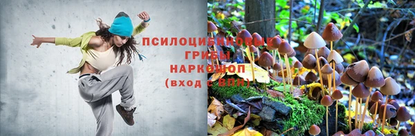 2c-b Аркадак